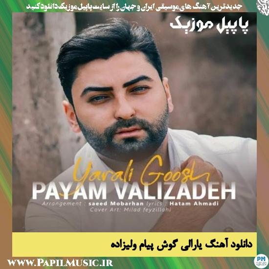 Payam Valizadeh Yarali Goosh دانلود آهنگ یارالی گوش از پیام ولیزاده